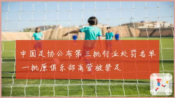 中国足协公布第三批行业处罚名单 一批原俱乐部高管被禁足