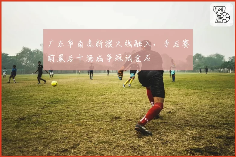 广东华南虎新援火线融入,季后赛前最后十场成争冠试金石